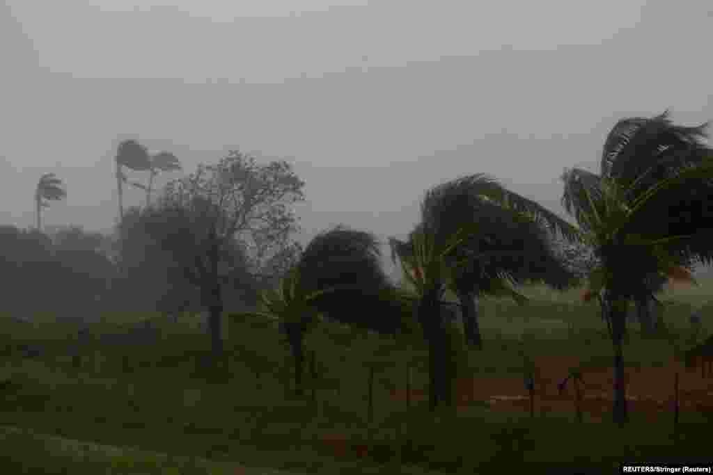 Fuertes vientos y lluvias impactaron los cultivos después de que el huracán Ian tocara tierra antes en la provincia cubana de Pinar del Río, en Consolación del Sur, Cuba, el 27 de septiembre de 2022. REUTERS/Stringer 